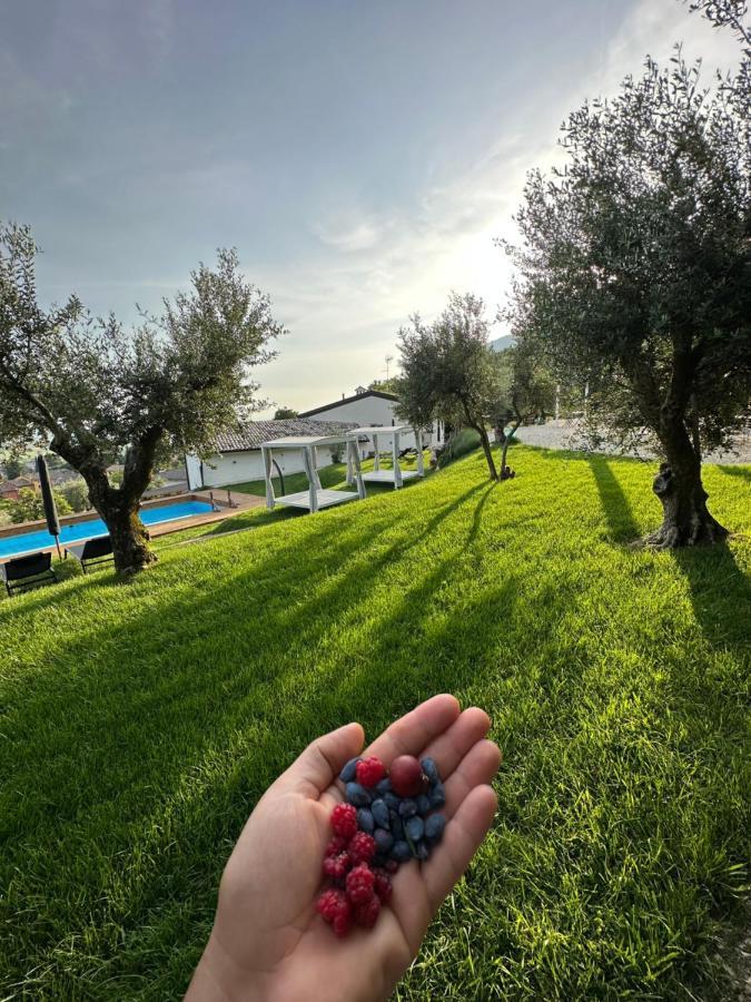 Agriturismo Maison 1933 Caprino Veronese Eksteriør bilde